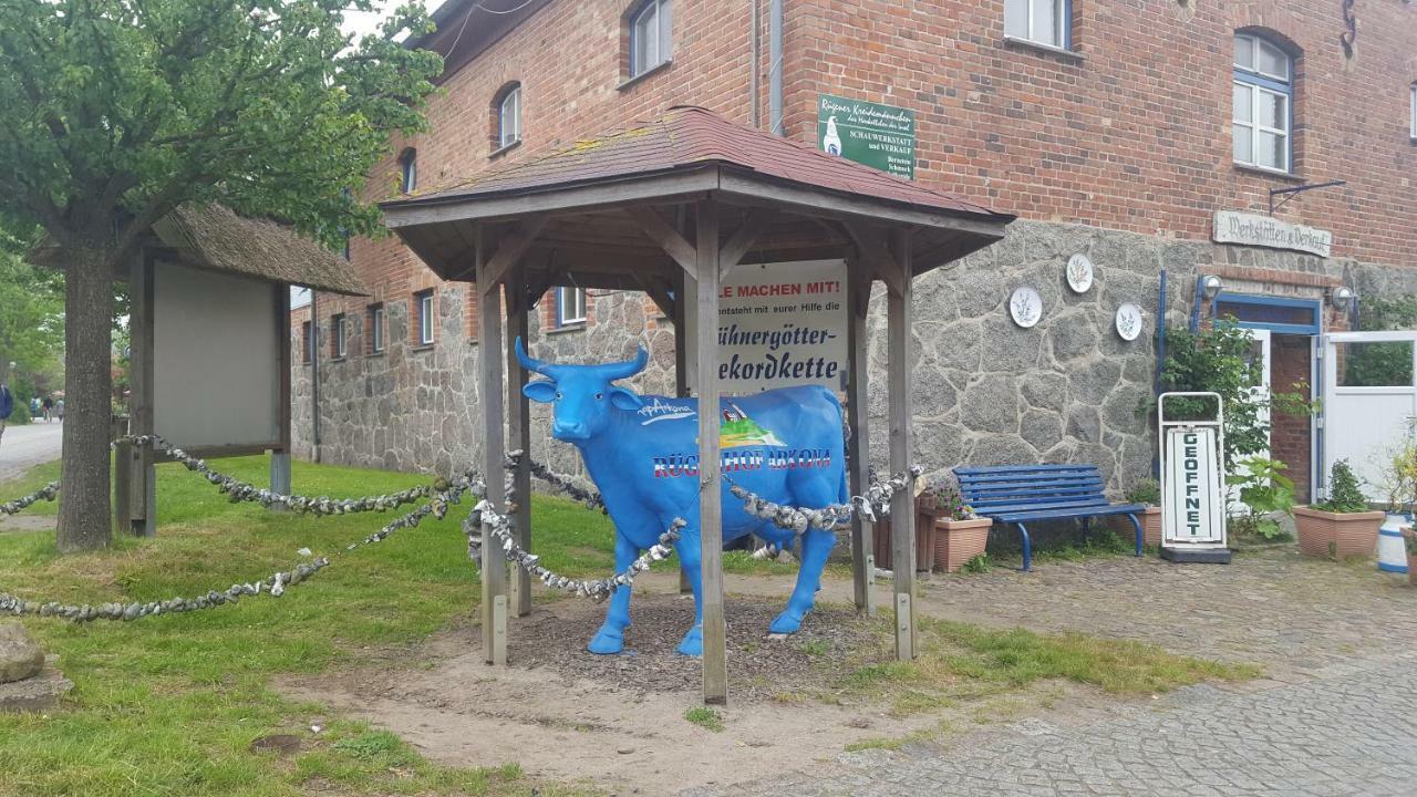 Ferienwohnung Finja In Putgarten, Kap Arkona Ruegen Kültér fotó