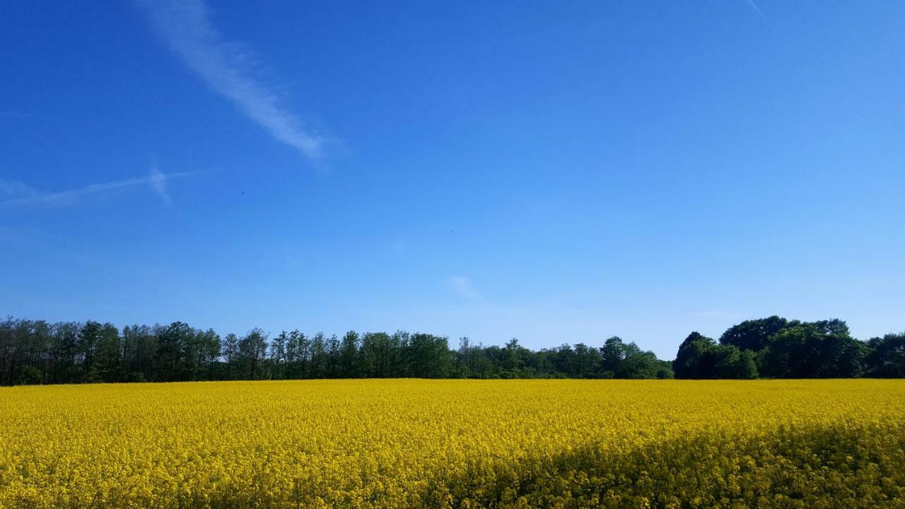 Ferienwohnung Finja In Putgarten, Kap Arkona Ruegen Kültér fotó